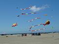 Fanø 2010 020